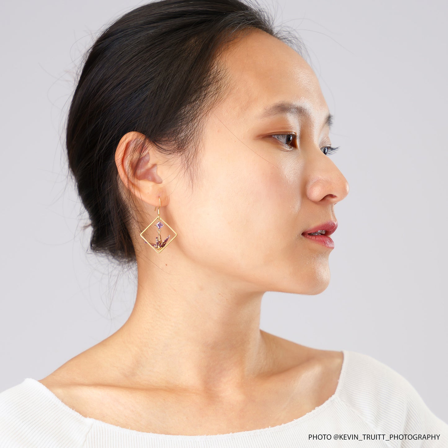 Small Crane and Zircon in Square Hoops